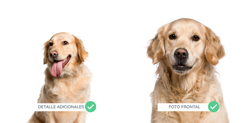 2 Incluye toda la cabeza y los ojos